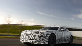 Majestic jaguar prowling through dense rainforest showcasing its powerful build and distinctive spotted coat.