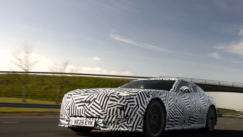 Majestic jaguar prowling through dense rainforest showcasing its powerful build and distinctive spotted coat.