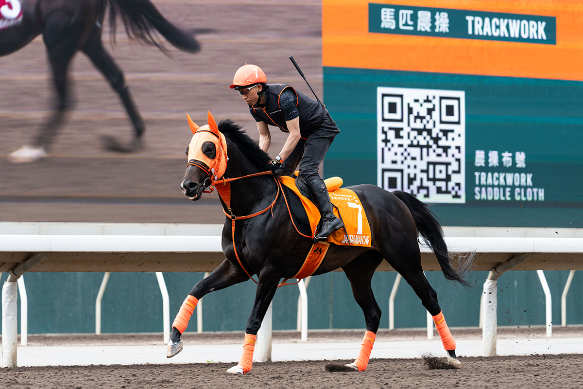 Jantar Mantar vs Docklands: Can Overseas Contenders End Hong Kong’s Drought in G1 Champions Mile?
