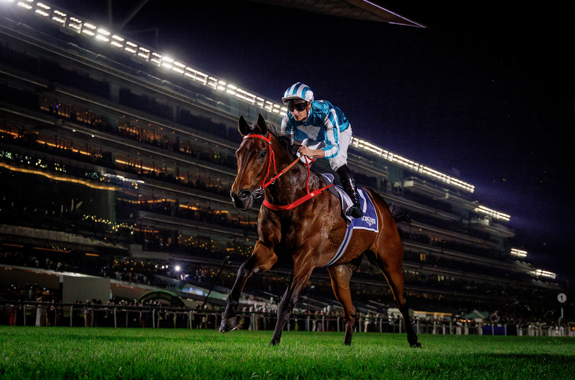 Romantic Warrior Aims for Historic Fourth QEII Cup Victory