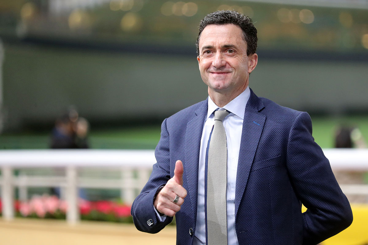 Violet Star ready to rise for resurgent Whyte at the Valley