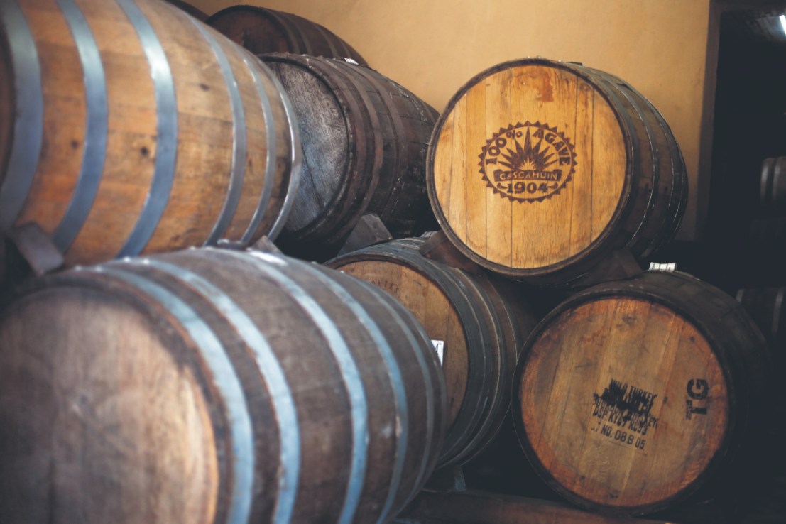 Four Tequilas and Mezcals you need to try