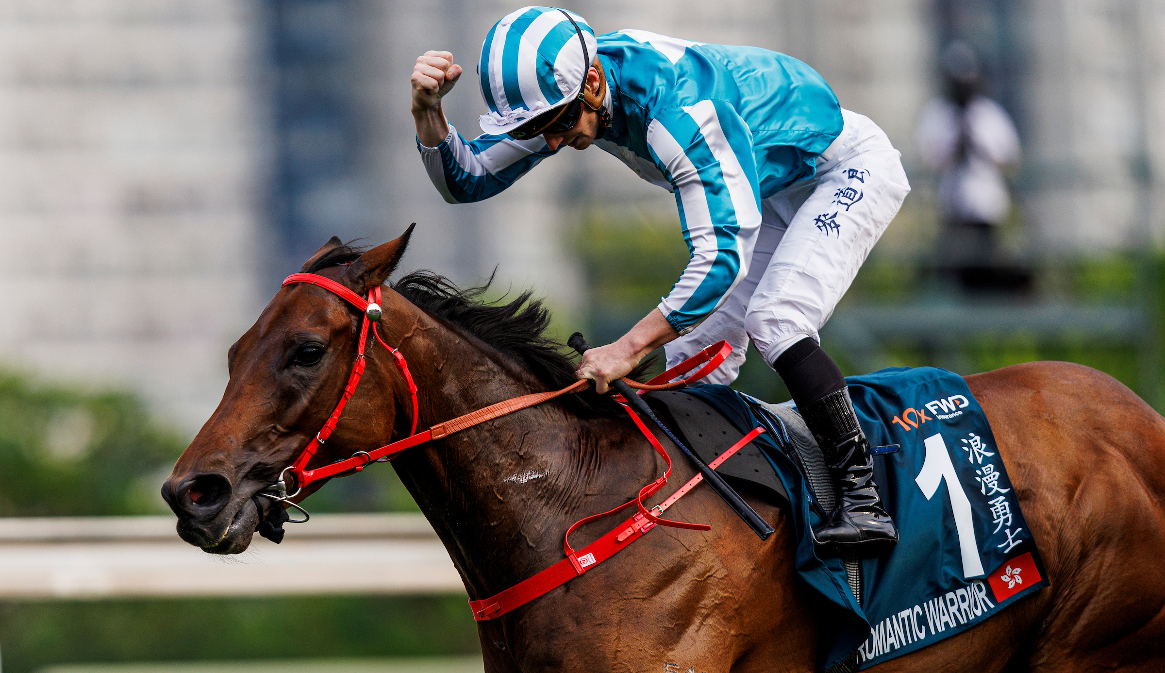 Lor’s Numbers to follow home Triple Crown-winning Warrior