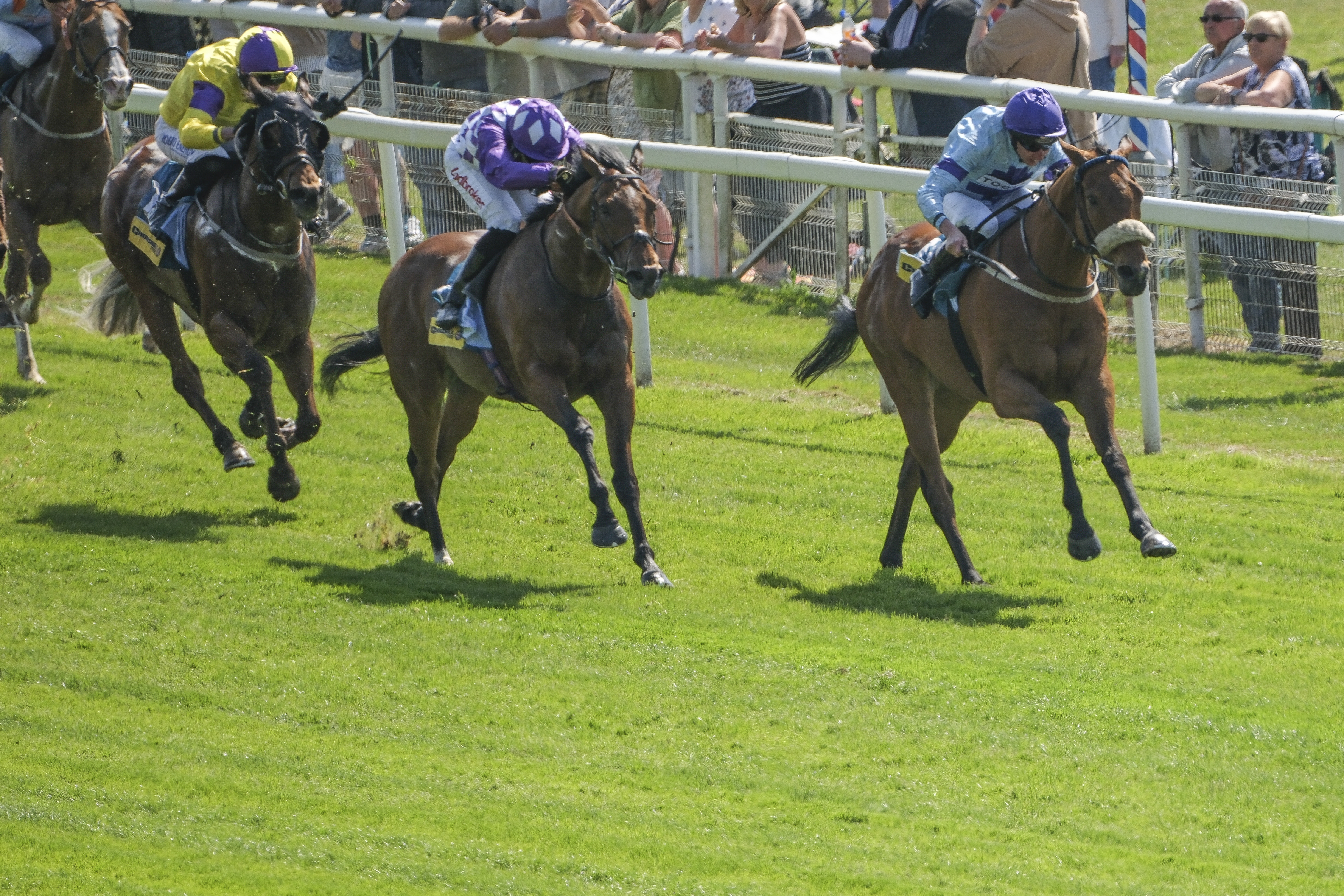 York Dante Festival: Rousing Encore, Cool Hoof Luke, and Stressfree Selections
