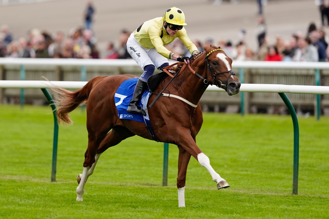 Zeus to become King of Newbury on Lockinge Day
