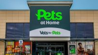 Pets at home enjoying playtime in a cozy living room setting, featuring a content cat lounging and a playful dog with a toy.