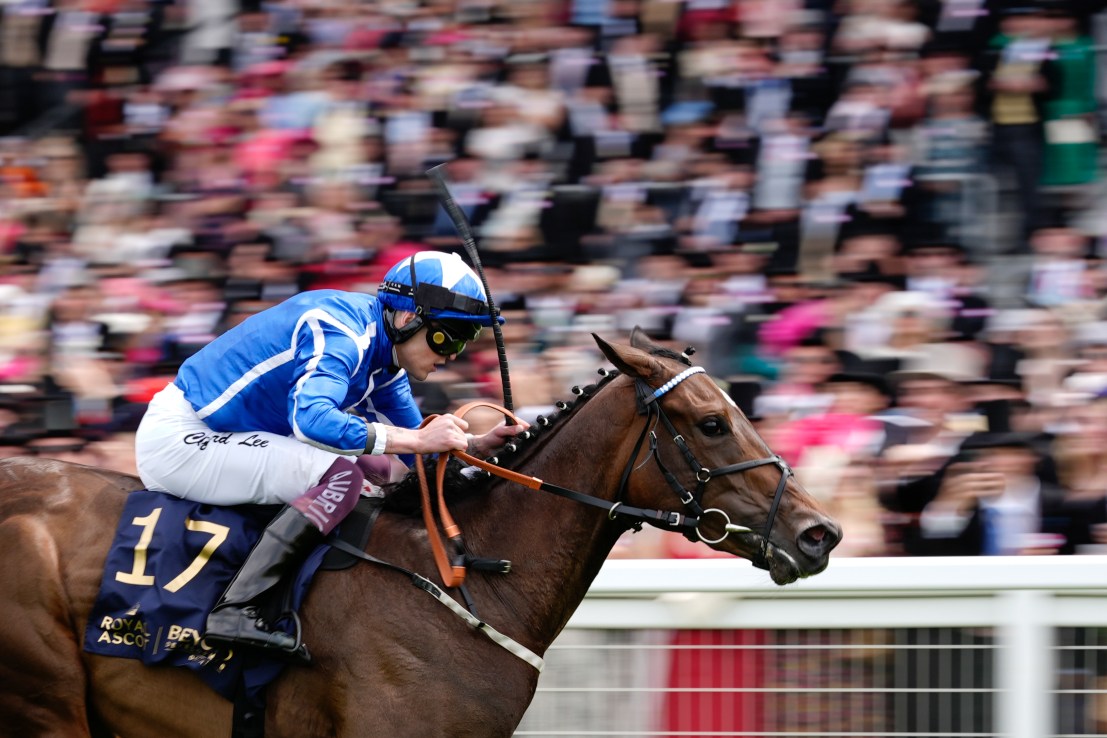 Venetian Sun is unbeaten over six furlongs