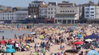Sunny beach with clear blue waters, golden sands, and scattered seashells under a bright sky, ideal for a relaxing getaway.