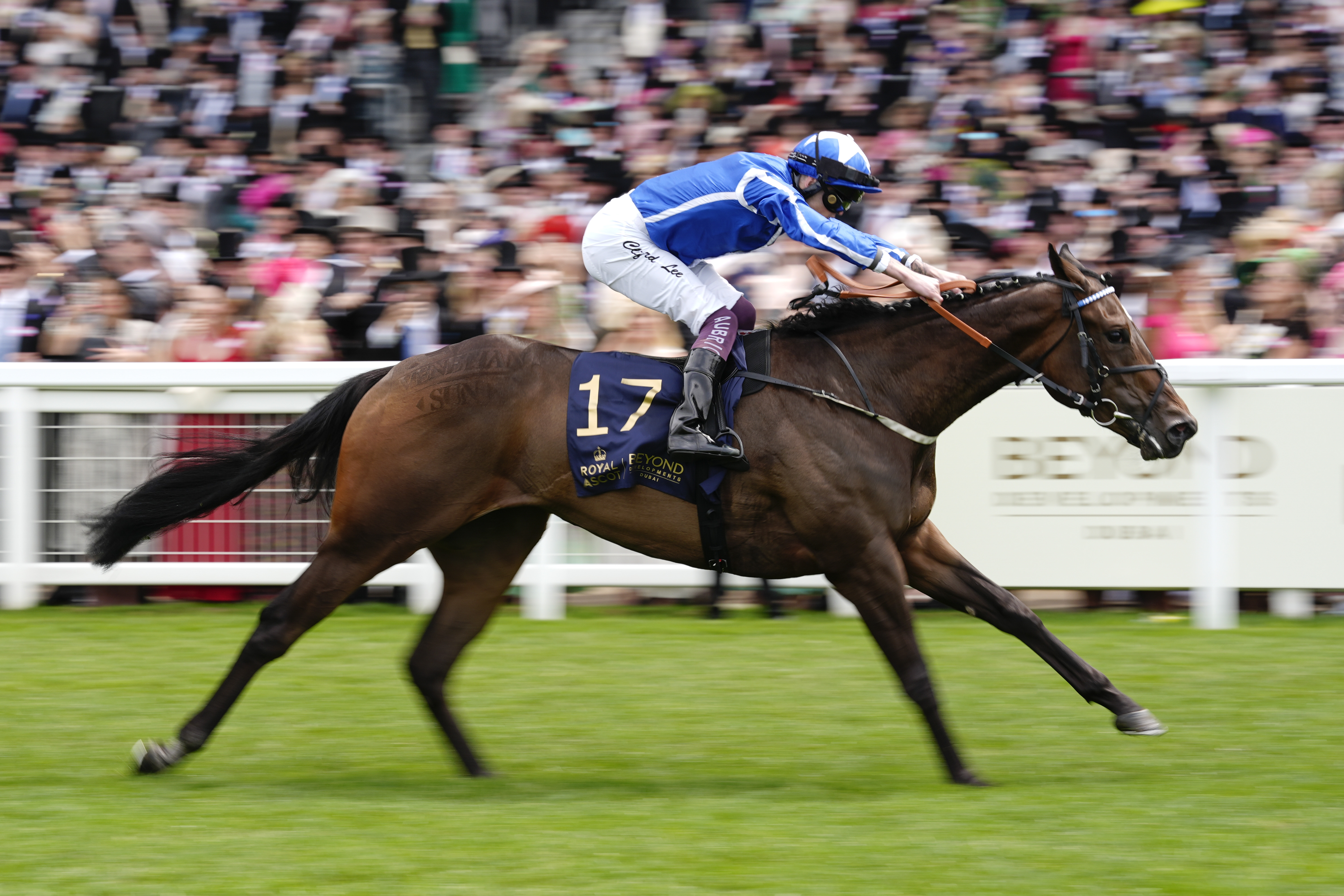 Venetian to Havana day in the Ascot Sun