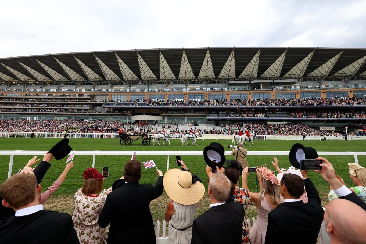 Ascot CEO proposes pooling media rights with global racing events