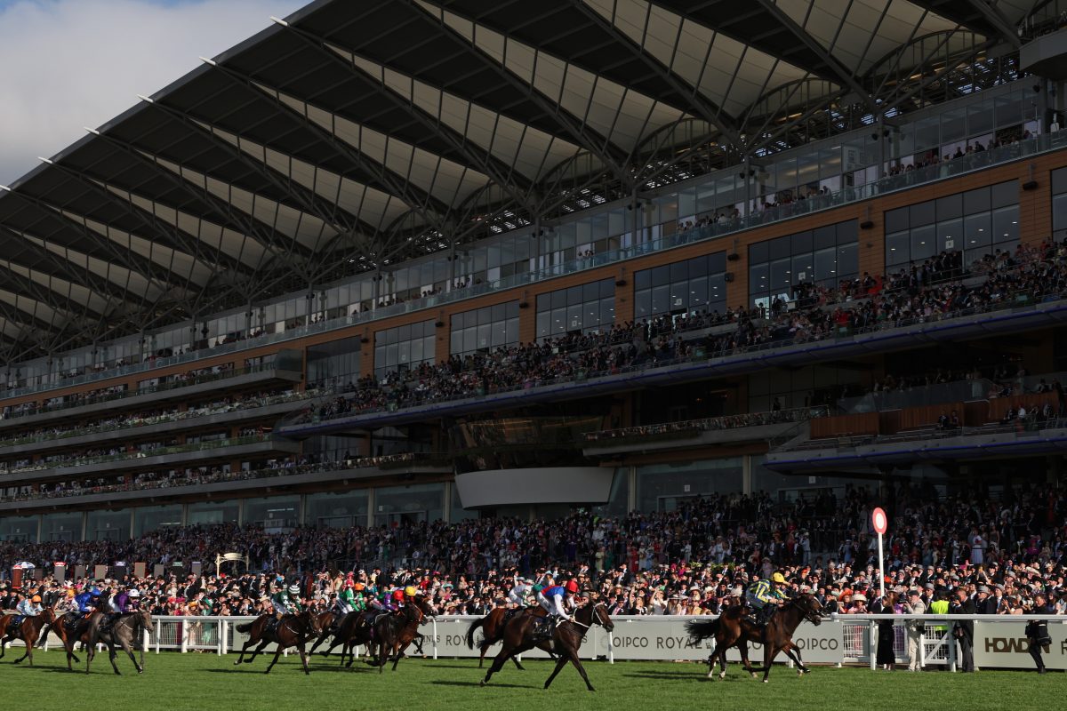 Concern as gambling black market set for £40m Royal Ascot boost