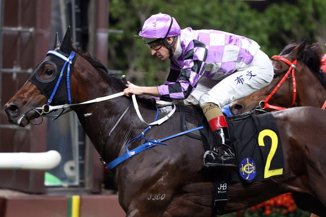 Mighty Commander is a three-time winner at Happy Valley