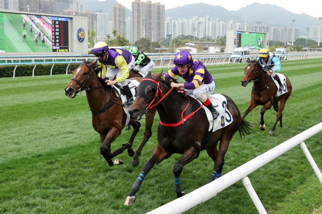 Stellar Express was a Group Three winner at Sha Tin in January