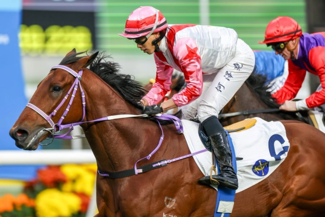 The Boom Box is a four-time winner under Vincent Ho