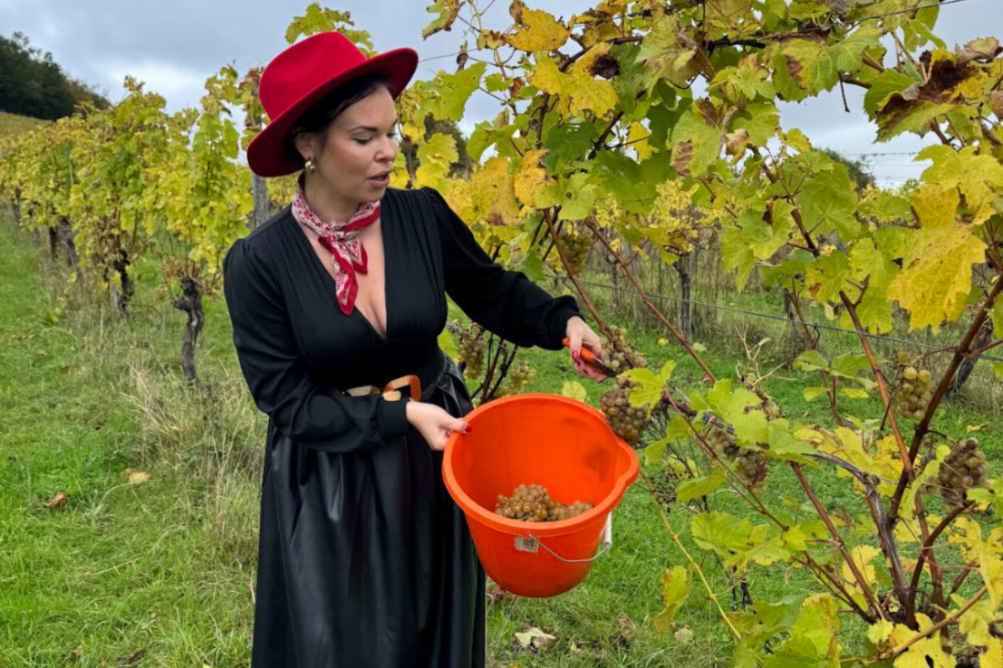 The best ways to invest in wine