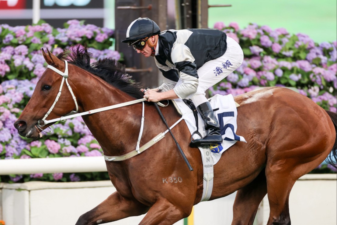 Winning Ovation has won four of his seven starts in Hong Kong