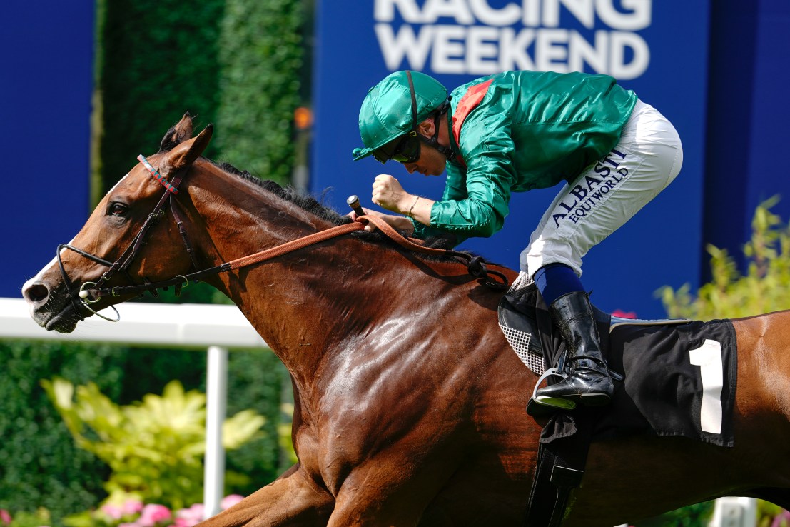 Calanda can give Graffard a third King George