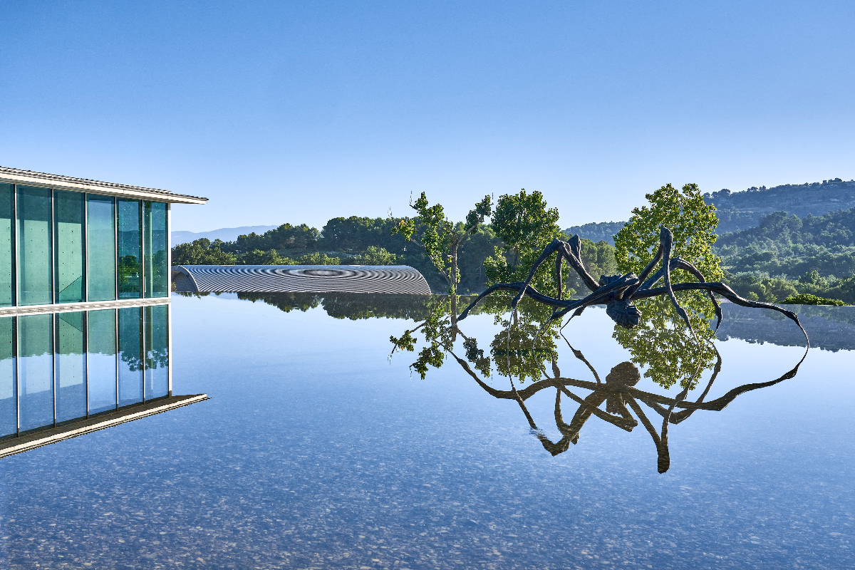 The trippy French vineyard owned by ousted Claridge's billionaire