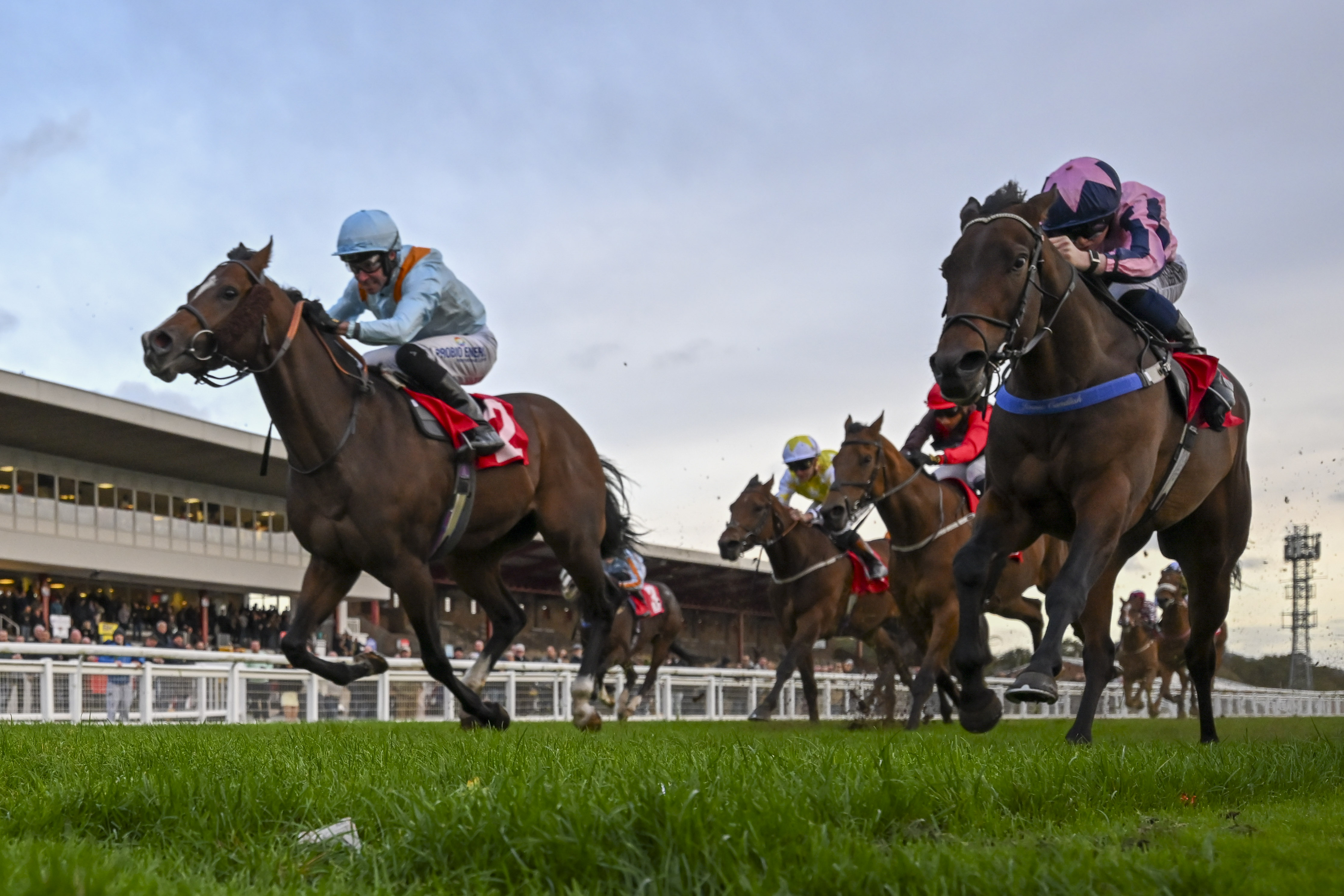 Look to Lexington to Blitz his Goodwood sprint rivals