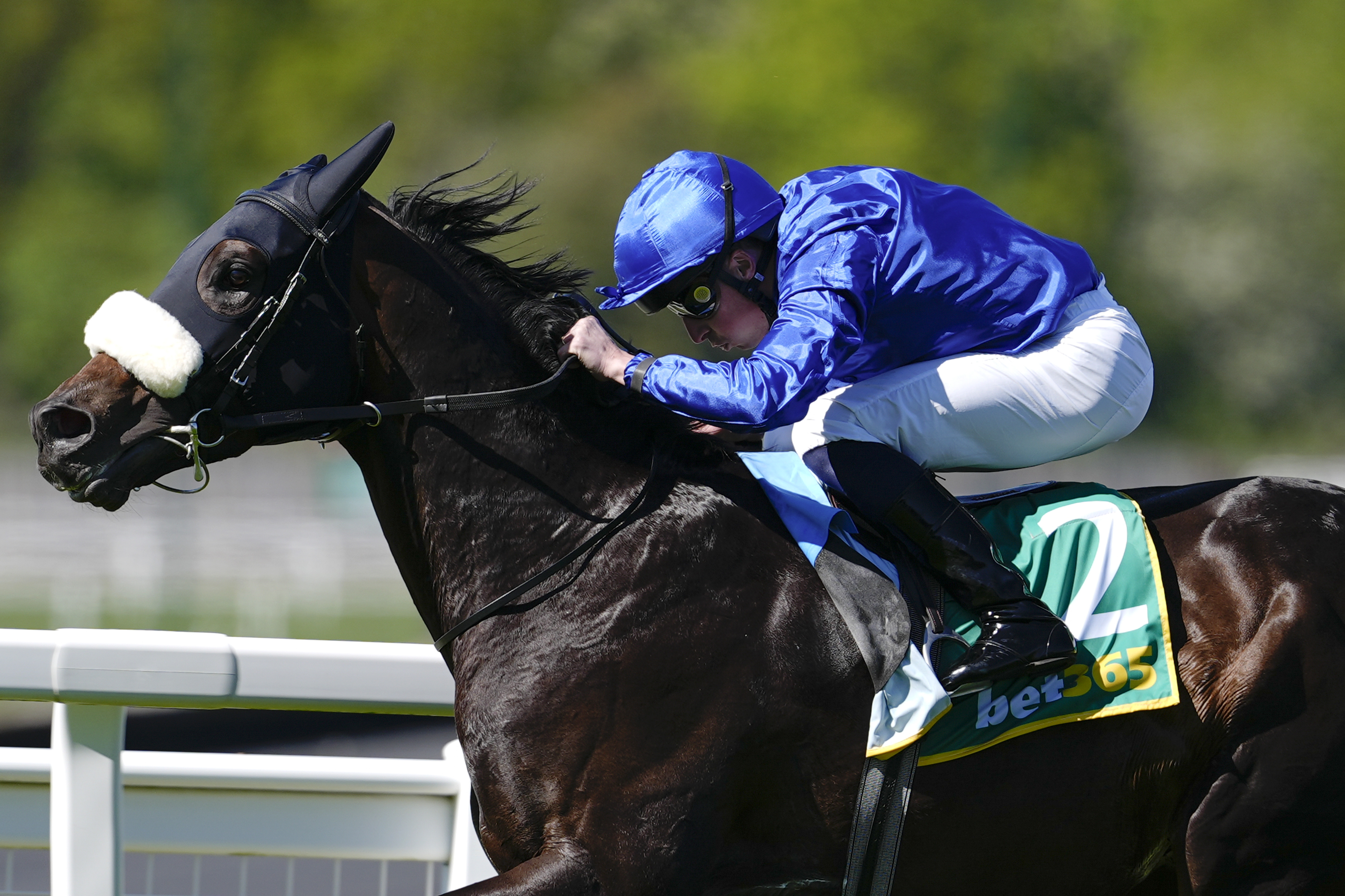 Younger rivals to bow to Ballo in the Sussex