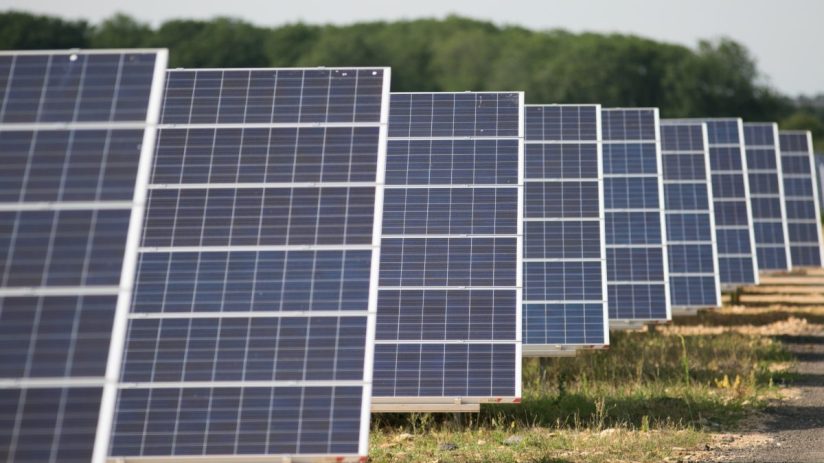 Rows of blue solar panels in a field, generating clean energy, with green trees in the background.