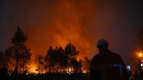 Firefighter in helmet and uniform watching a blazing forest fire at night, red glow in the sky