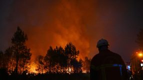 Firefighter in helmet and uniform watching a blazing forest fire at night, red glow in the sky