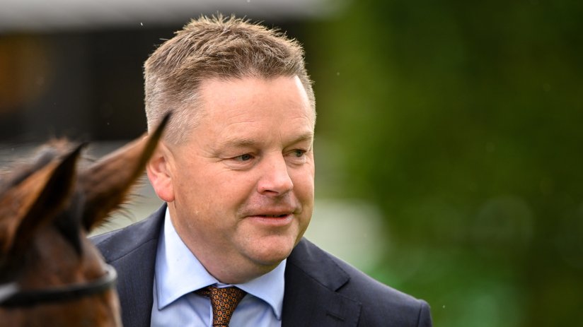 A man in a suit and patterned tie, with a horses ear visible, looks left against a green blurred background.