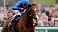 Jockey in blue silks riding a brown racehorse with a white blaze, galloping past a blurred crowd at a racecourse