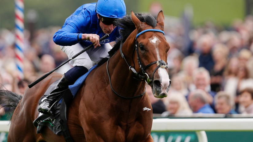 Jockey in blue silks riding a brown racehorse with a white blaze, galloping past a blurred crowd at a racecourse
