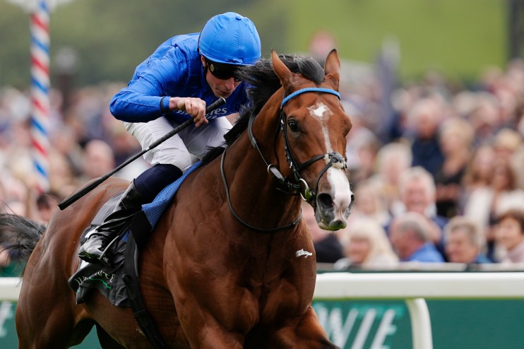 Jockey in blue silks riding a brown racehorse with a white blaze, galloping past a blurred crowd at a racecourse