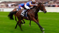 Jockey in orange and blue silks on a brown racehorse galloping on a green track, another horse slightly behind.