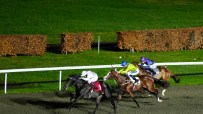 Jockeys on racehorses gallop on a dirt track under stadium lights, with green grass and hedges in the background.