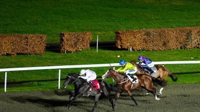 Jockeys on racehorses gallop on a dirt track under stadium lights, with green grass and hedges in the background.