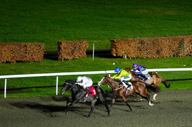 Jockeys on racehorses gallop on a dirt track under stadium lights, with green grass and hedges in the background.