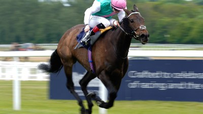Jockey in pink helmet and green/white silks riding a brown racehorse at full gallop on a green track.