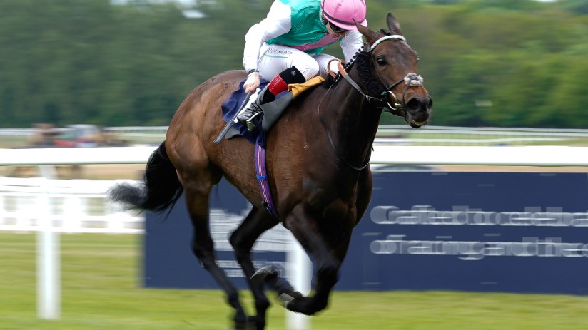Jockey in pink helmet and green/white silks riding a brown racehorse at full gallop on a green track.