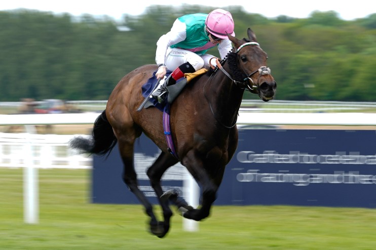 Jockey in pink helmet and green/white silks riding a brown racehorse at full gallop on a green track.