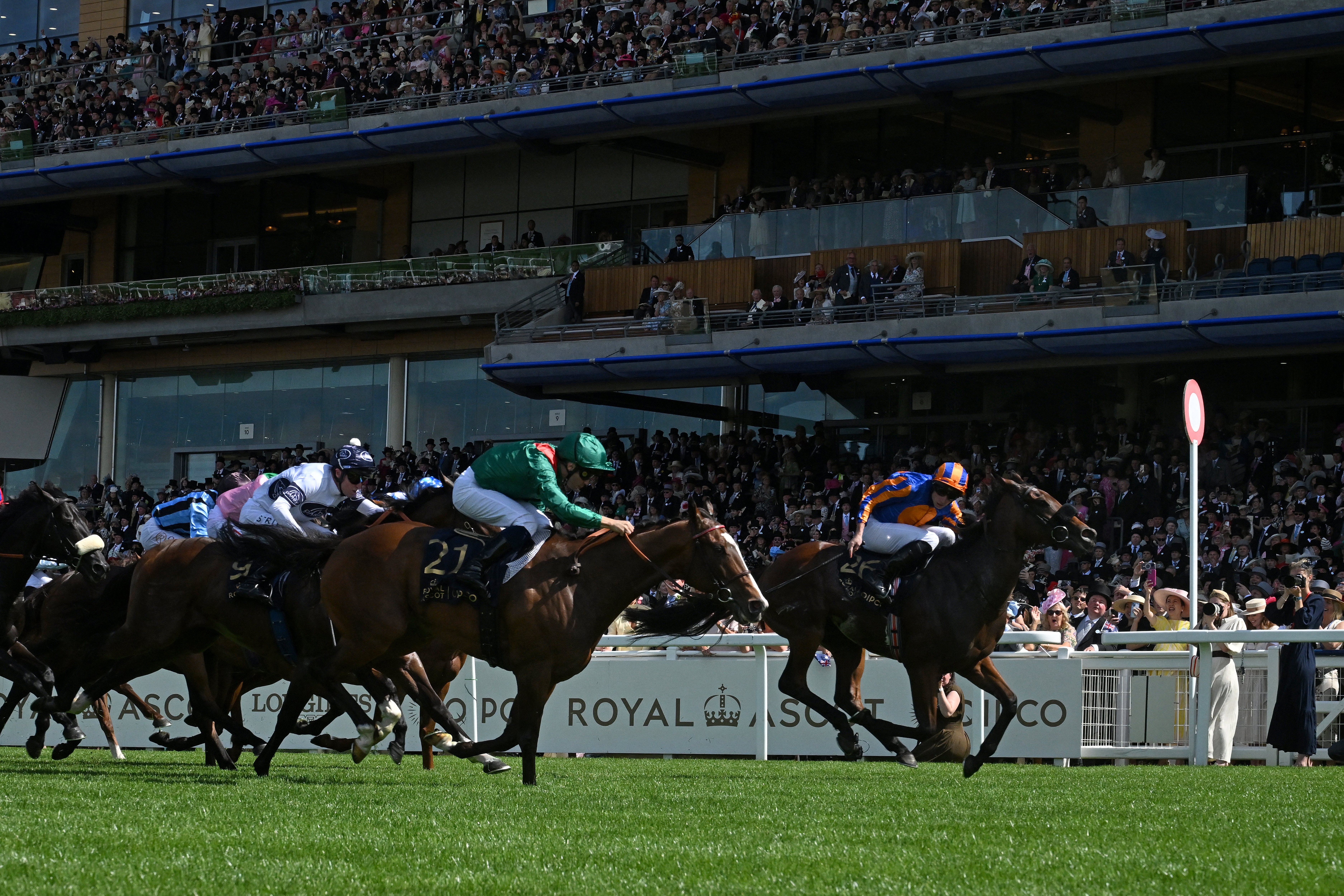 Rayevka can carry Nunthorpe back to France