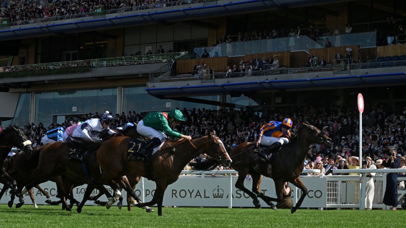 Jockeys on horseback racing on a green turf track with a crowd of spectators in the background.
