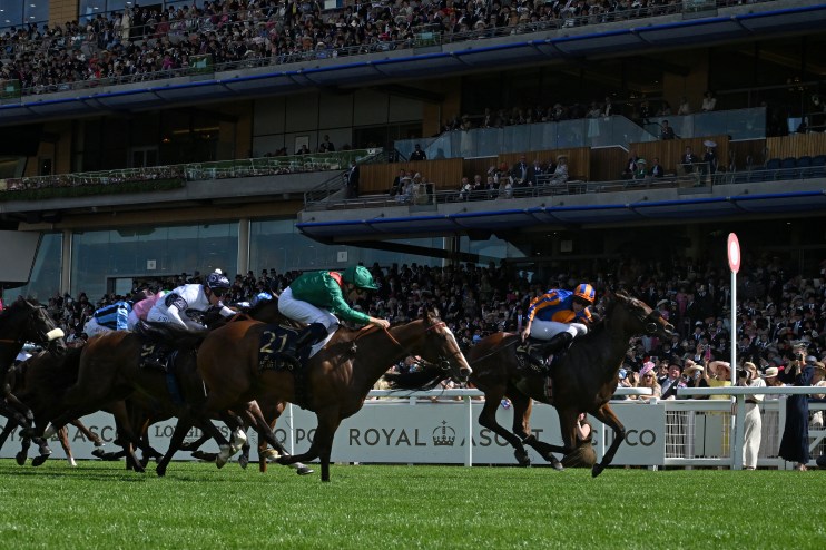 Jockeys on horseback racing on a green turf track with a crowd of spectators in the background.