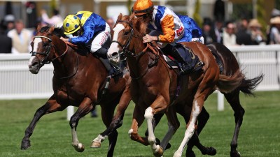 Two racehorses and jockeys in colorful silks galloping on a green turf track during a horse race