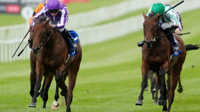 Two racehorses and jockeys in purple and green silks thunder down a grassy track, turf flying.