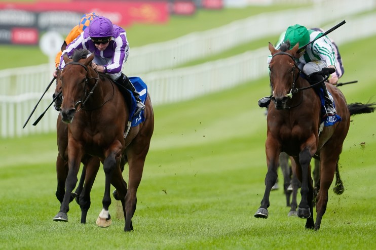 Two racehorses and jockeys in purple and green silks thunder down a grassy track, turf flying.