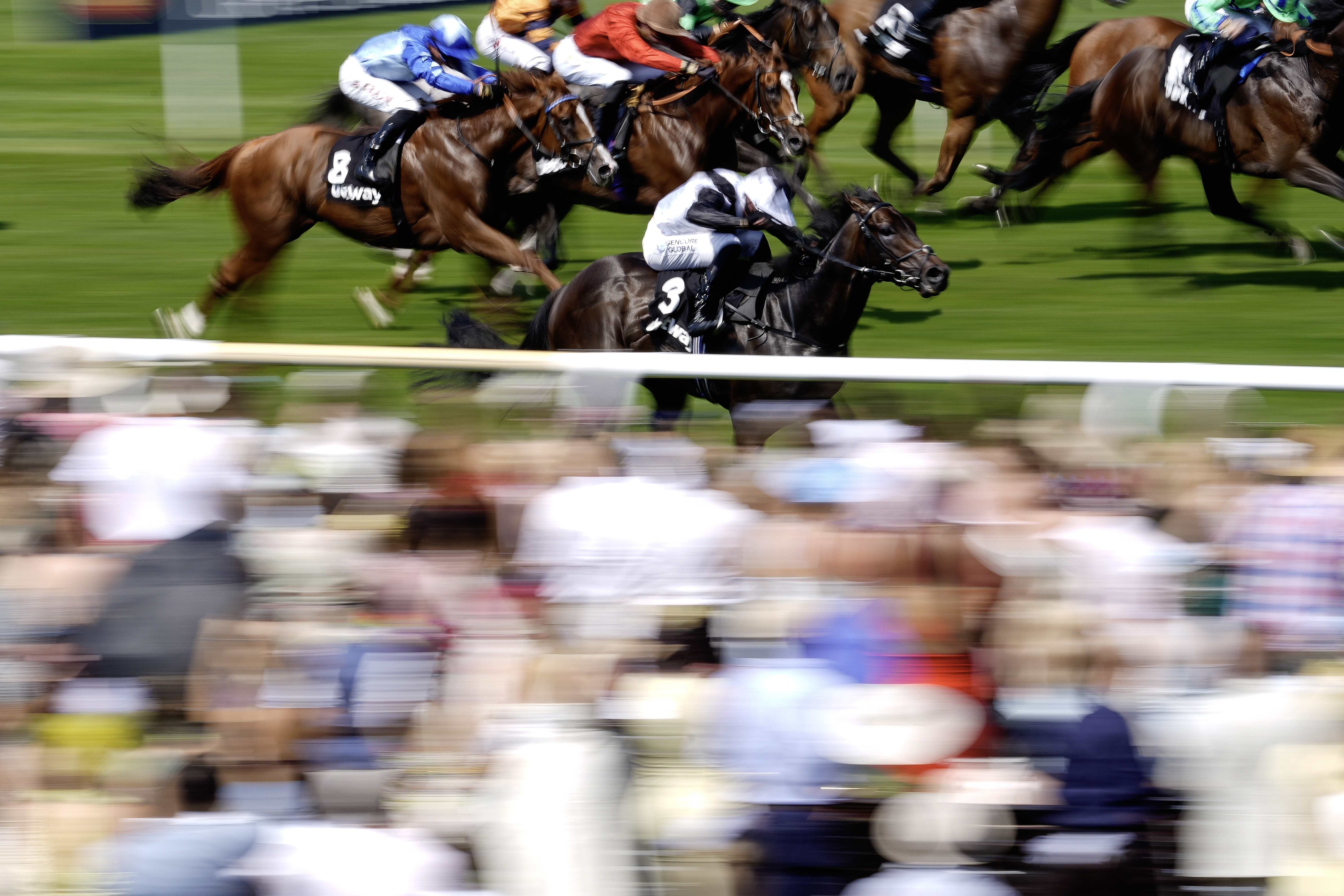 Thunder Call set to Strike in Shergar Cup Sprint