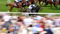 Thoroughbred racehorses with jockeys galloping on a green track, blurred crowd in foreground