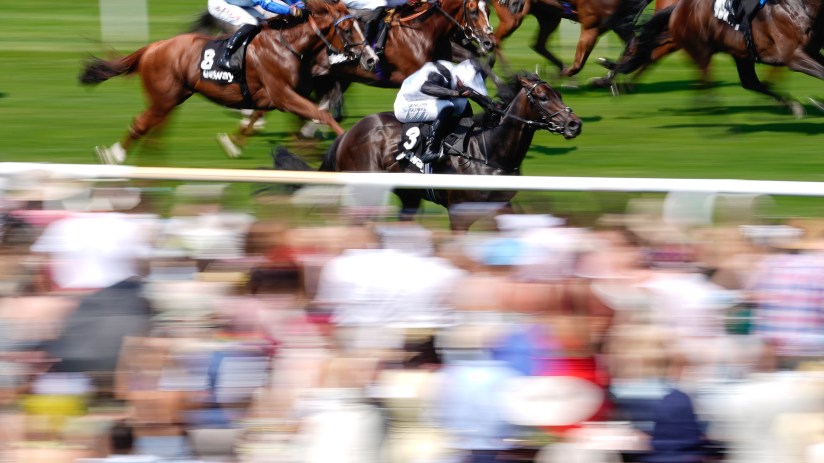Thoroughbred racehorses with jockeys galloping on a green track, blurred crowd in foreground