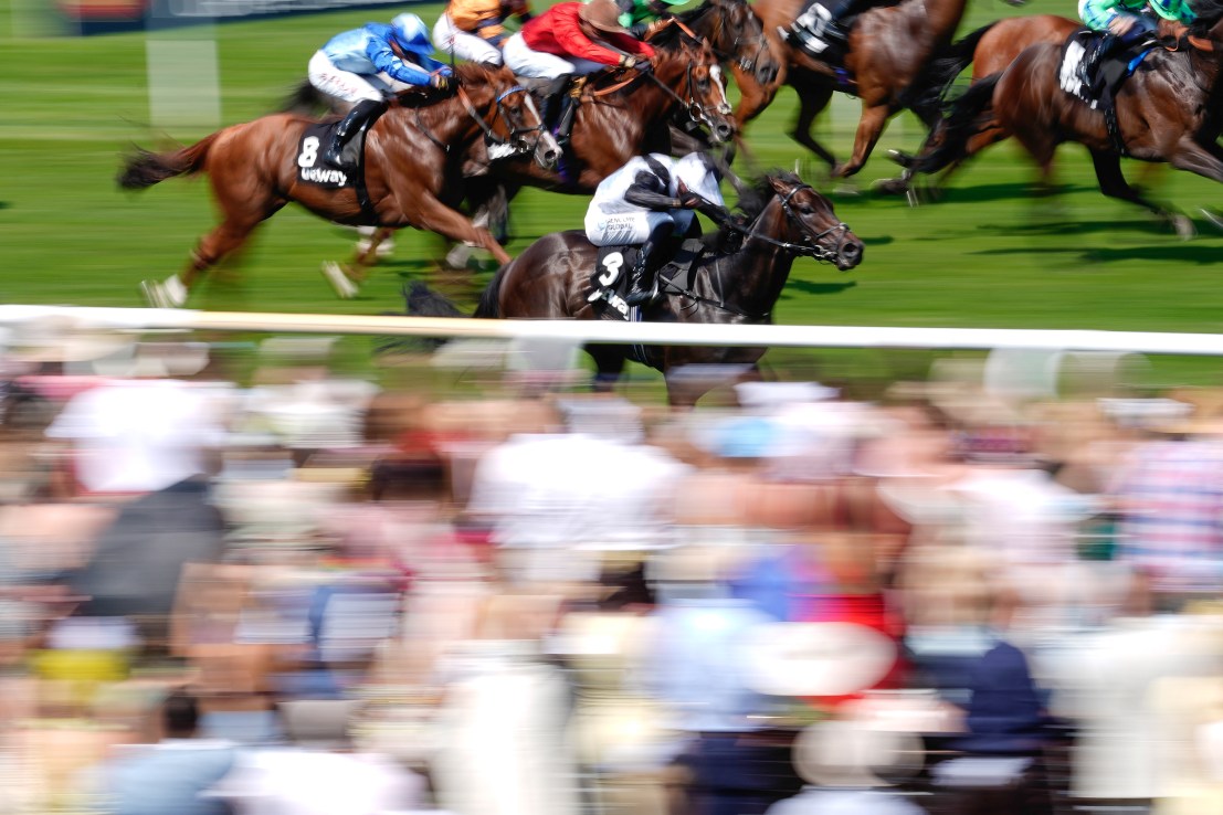 Thunder Call set to Strike in Shergar Cup Sprint