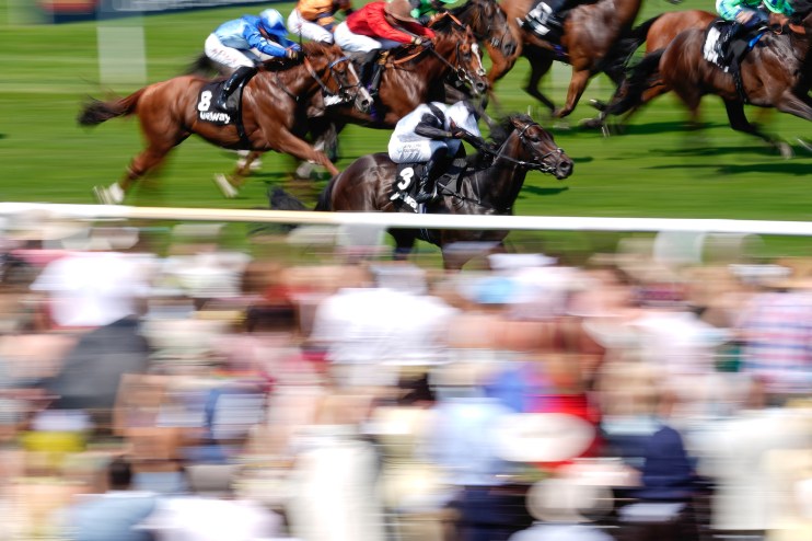 Thoroughbred racehorses with jockeys galloping on a green track, blurred crowd in foreground