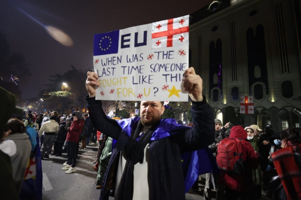 Protester holding EU and Georgia flag sign: When was the last time someone fought like this for U? at night rally.